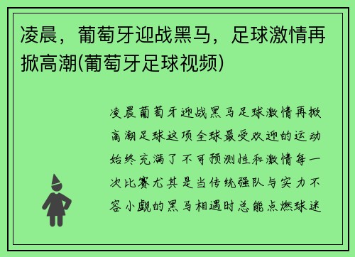 凌晨，葡萄牙迎战黑马，足球激情再掀高潮(葡萄牙足球视频)