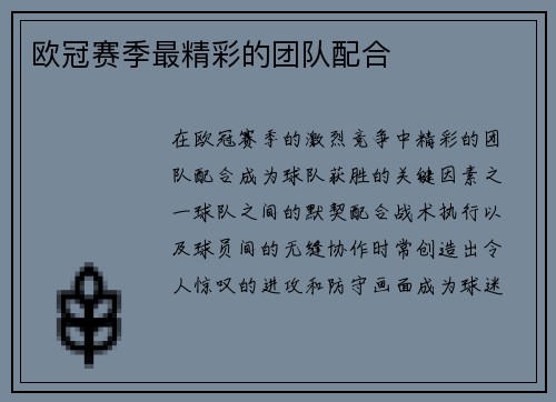 欧冠赛季最精彩的团队配合