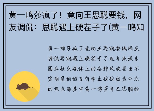 黄一鸣莎疯了！竟向王思聪要钱，网友调侃：思聪遇上硬茬子了(黄一鸣知乎)